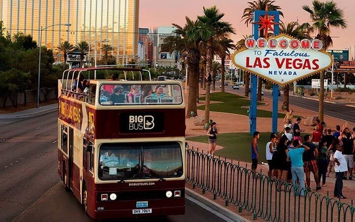 Take A Big Bus Tour