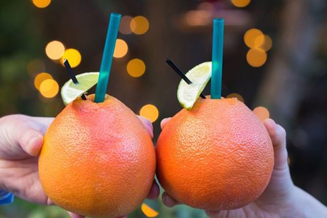 Twisted Grapefruit, Park on Fremont