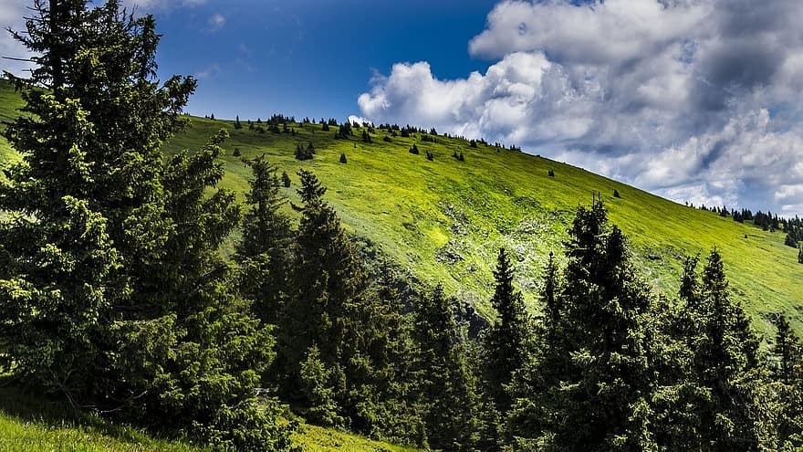 Great Basin National Park