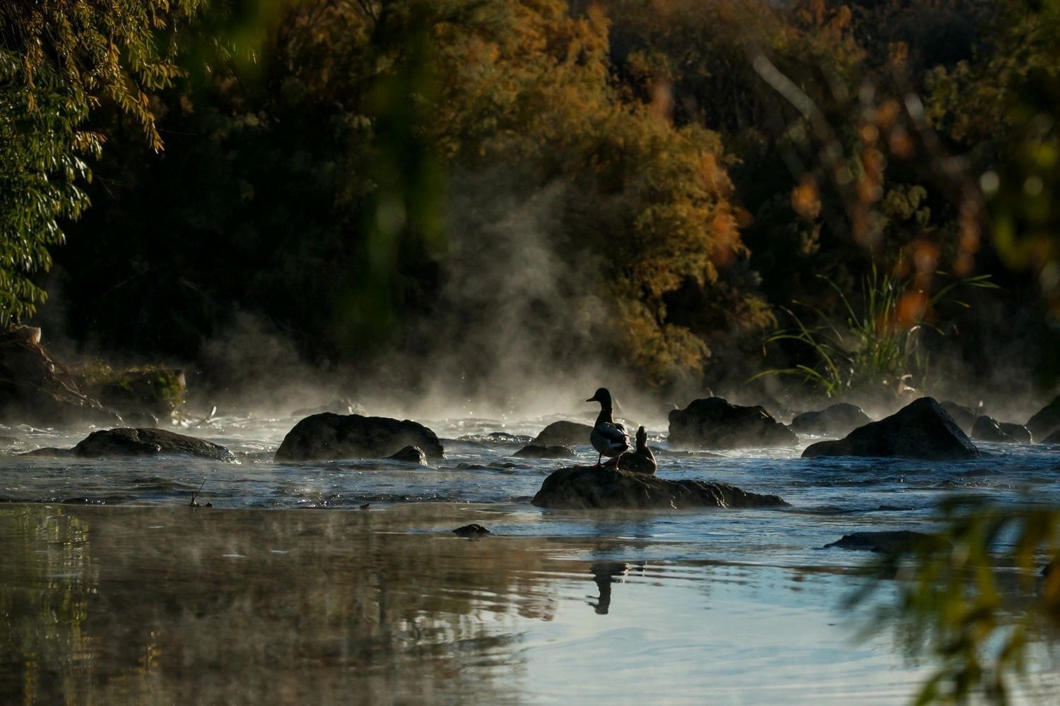 Wetlands Park Nature Reserve