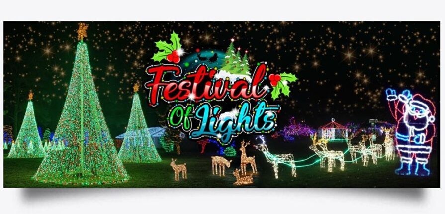 Festival of Trees & Lights (Virtual)