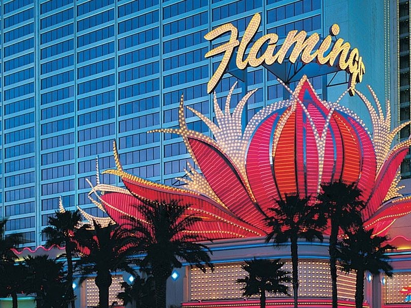 The Flamingo