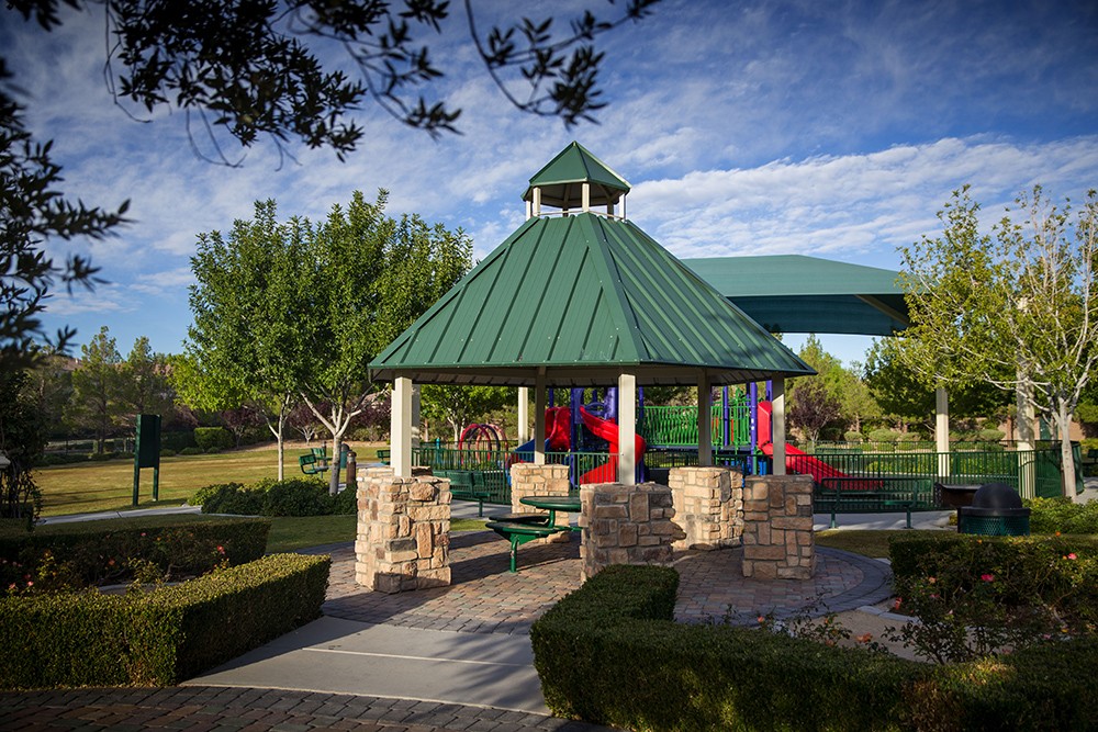 Doctor Harry B Johnson Rose Garden