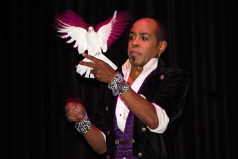 Be Mesmerized by Late Night Magic