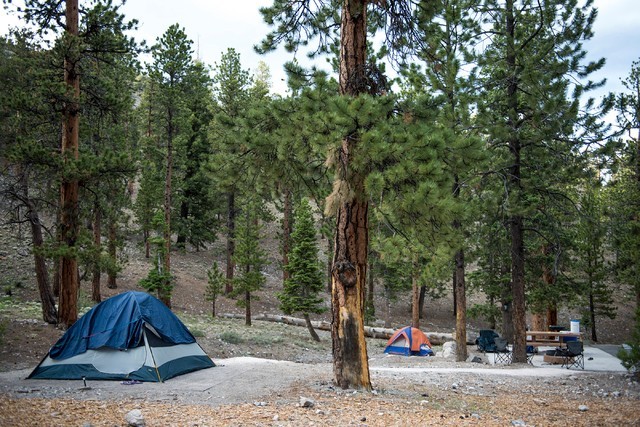 McWilliams Campground