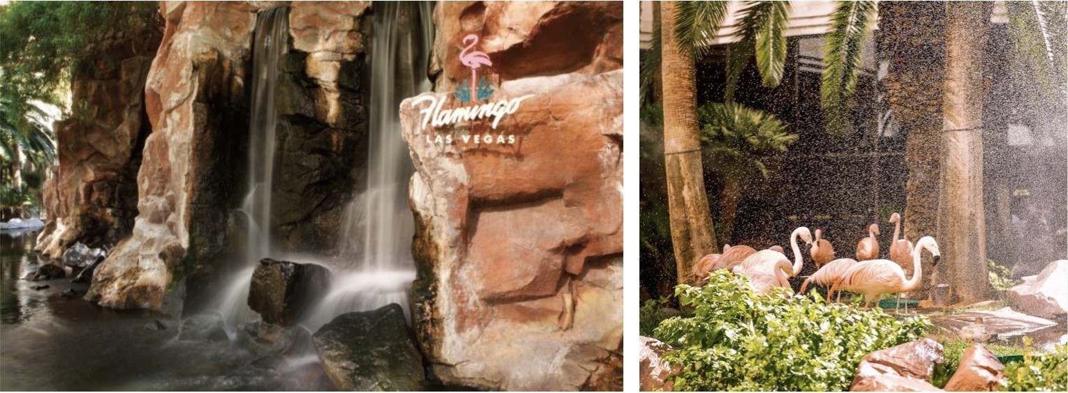 The Flamingo Wildlife Habitat