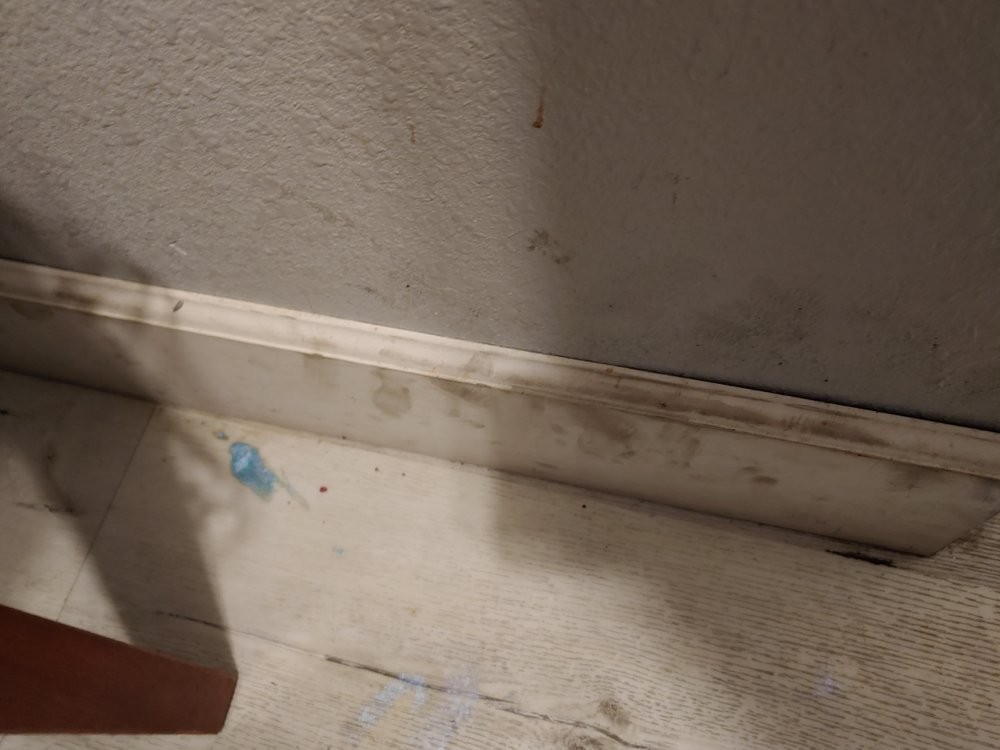 Every successful business starts with a good foundation.