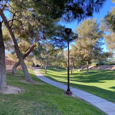 Where to Play Disc Golf in Vegas