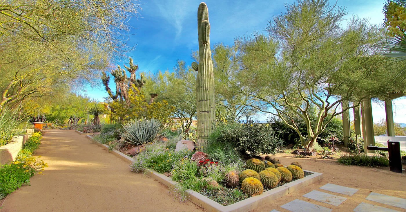 Where to Have a Picnic in Las Vegas